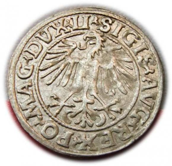 Półgrosz 1549 Zygmunt II August Wilno (2)