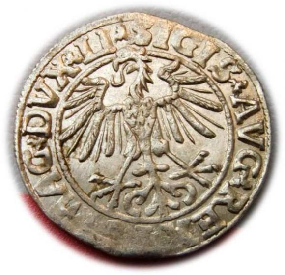 Półgrosz 1550 Zygmunt II August Wilno (2)