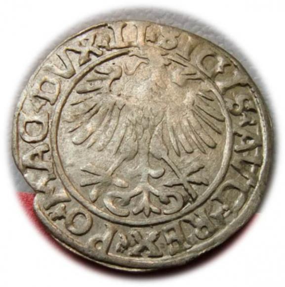 Półgrosz 1556 Zygmunt II August Wilno (2)