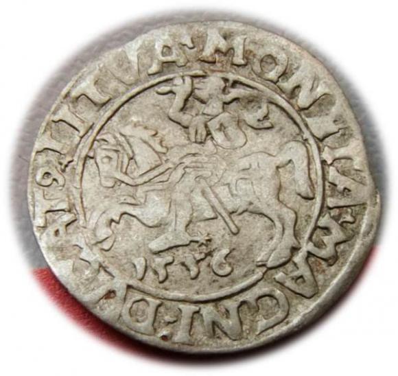 Półgrosz 1556 Zygmunt II August Wilno (1)