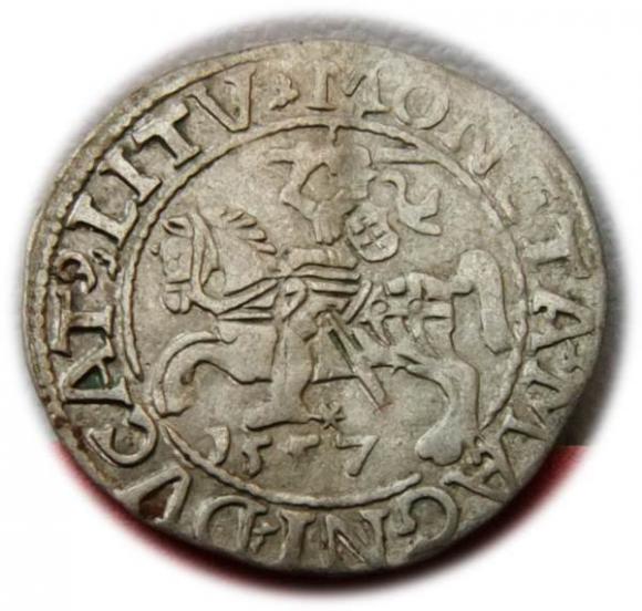 Półgrosz 1557 Zygmunt II August Wilno (1)