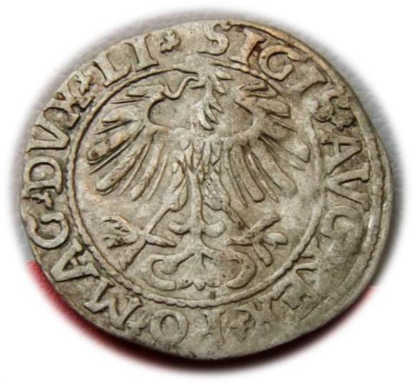 Półgrosz 1557 Zygmunt II August Wilno (2)