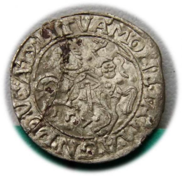 Półgrosz 1557 Zygmunt II August Wilno (1)