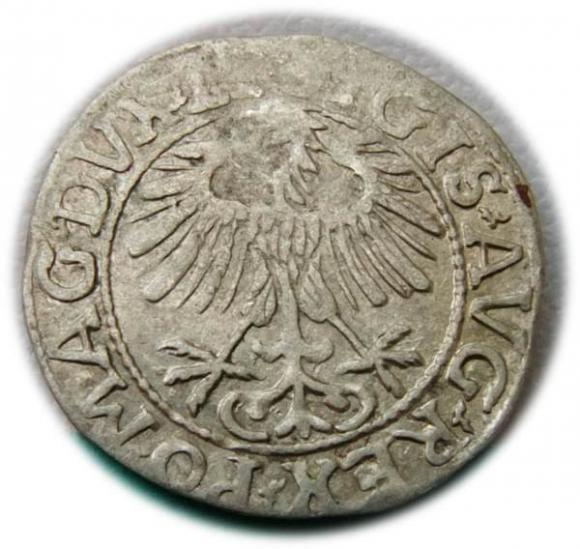 Półgrosz 1557 Zygmunt II August Wilno (2)