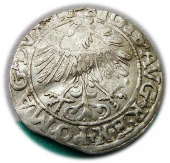 Half groschen 1557 Sigismund II Augustus Vilnius (2)