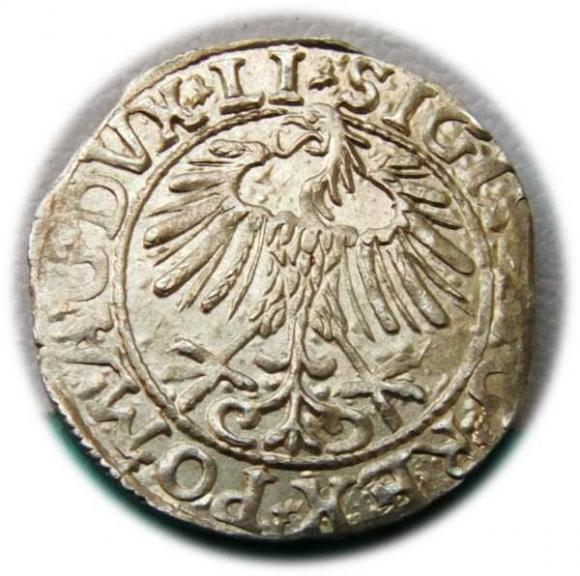 Półgrosz 1557 Zygmunt II August Wilno (2)