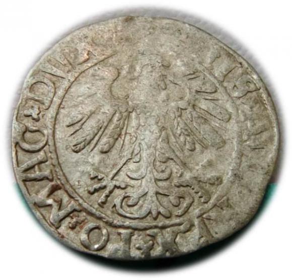 Półgrosz 1558 Zygmunt II August Wilno (2)