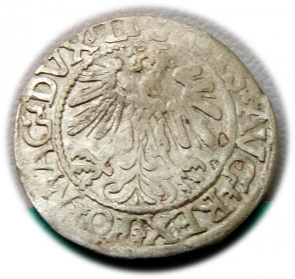 Półgrosz 1559 Zygmunt II August Wilno (2)