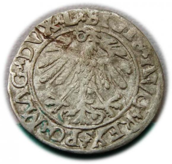 Półgrosz 1559 Zygmunt II August Wilno (2)