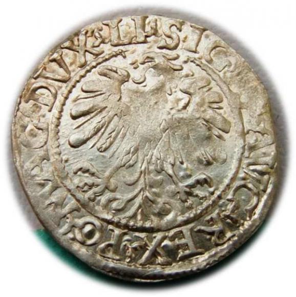 Półgrosz 1559 Zygmunt II August Wilno (2)