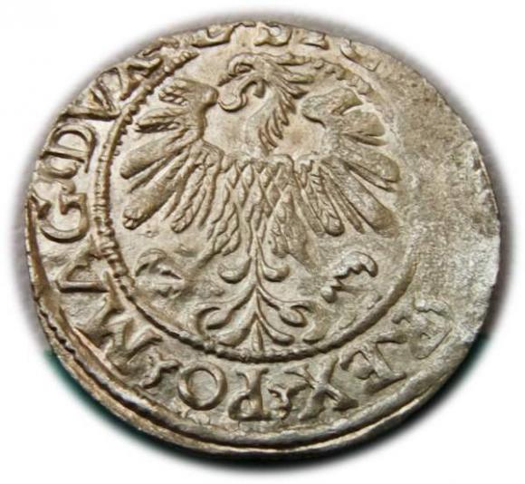 Half groschen 1559 Sigismund II Augustus Vilnius
