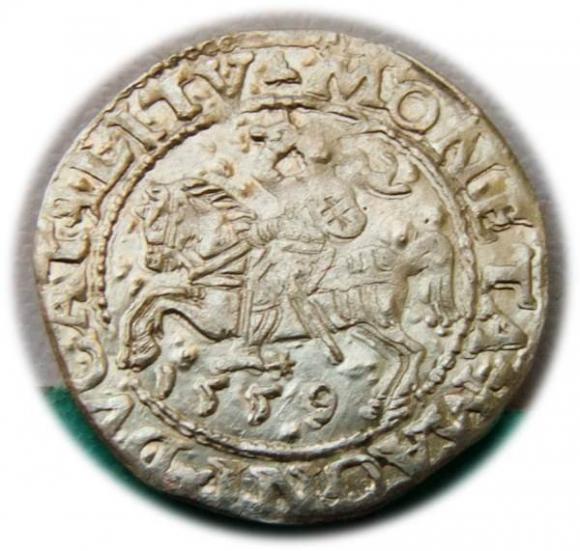 Half groschen 1559 Sigismund II Augustus Vilnius (1)