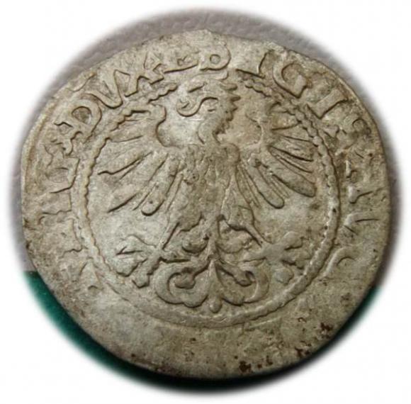 Półgrosz 1560 Zygmunt II August Wilno (2)