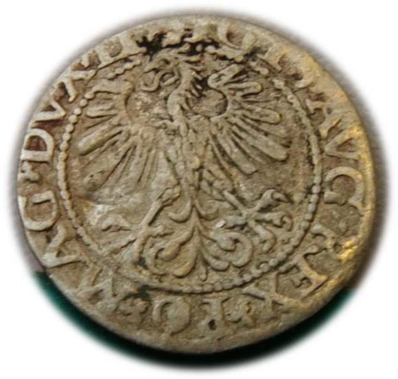 Półgrosz 1560 Zygmunt II August Wilno (2)