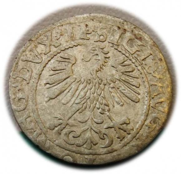 Półgrosz 1560 Zygmunt II August Wilno (2)