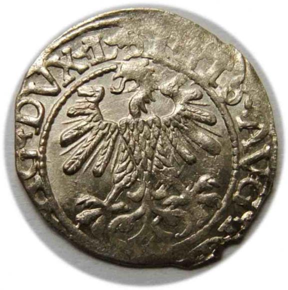 Półgrosz 1560 Zygmunt II August Wilno (2)