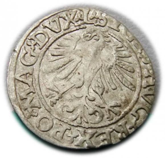 Półgrosz 1561 Zygmunt II August Wilno (2)