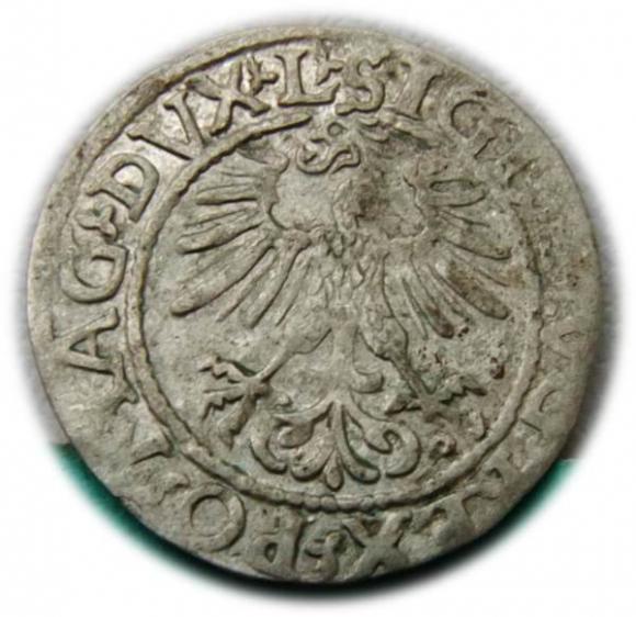 Półgrosz 1561 Zygmunt II August Wilno (2)