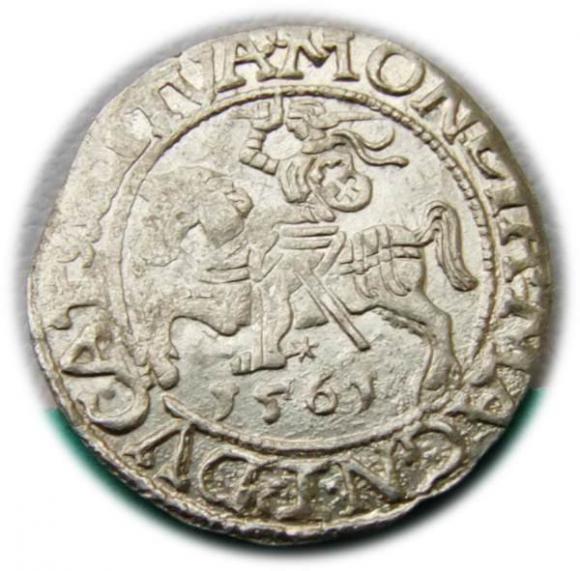Półgrosz 1561 Zygmunt II August Wilno (1)