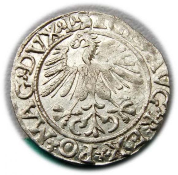 Półgrosz 1561 Zygmunt II August Wilno (2)