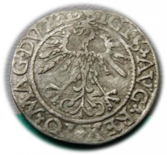 Półgrosz 1562 Zygmunt II August Wilno (2)
