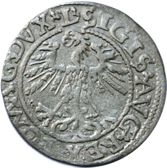 Half groschen 1562 Sigismund II Augustus Vilnius (2)