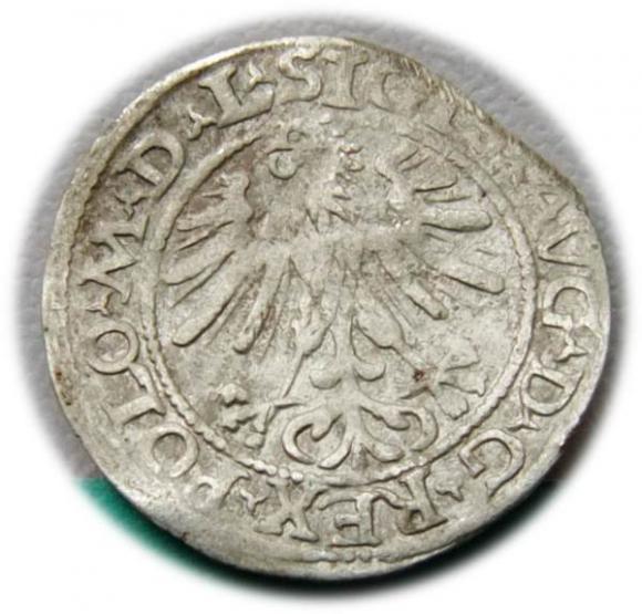 Półgrosz 1563 Zygmunt II August Wilno (2)