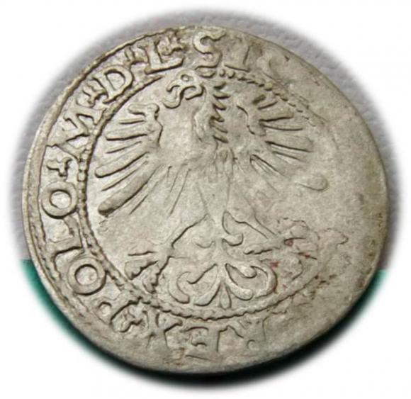Półgrosz 1564 Zygmunt II August Wilno (2)