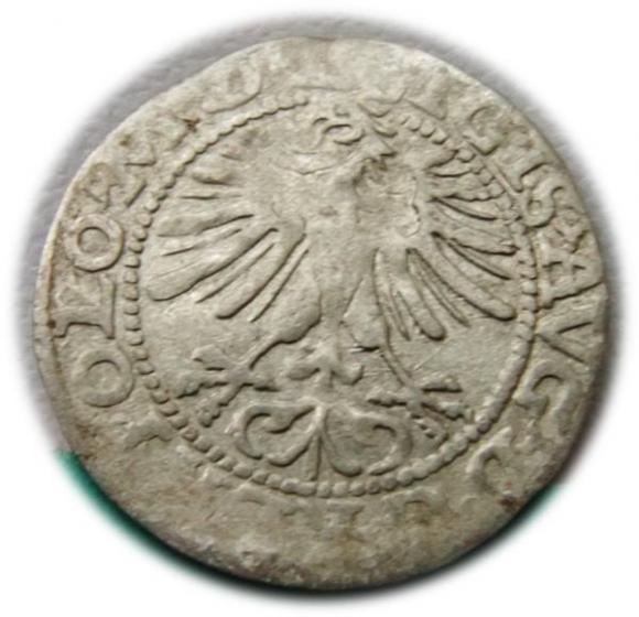 Półgrosz 1564 Zygmunt II August Wilno (2)