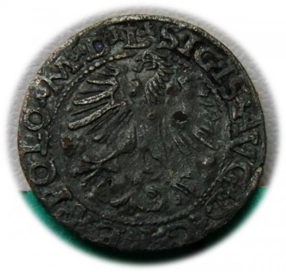 Półgrosz 1564 Zygmunt II August Wilno (2)