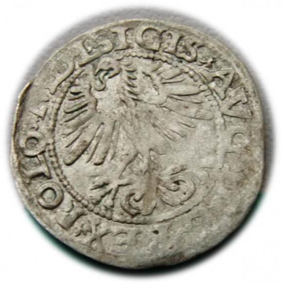 Półgrosz 1564 Zygmunt II August Wilno (2)