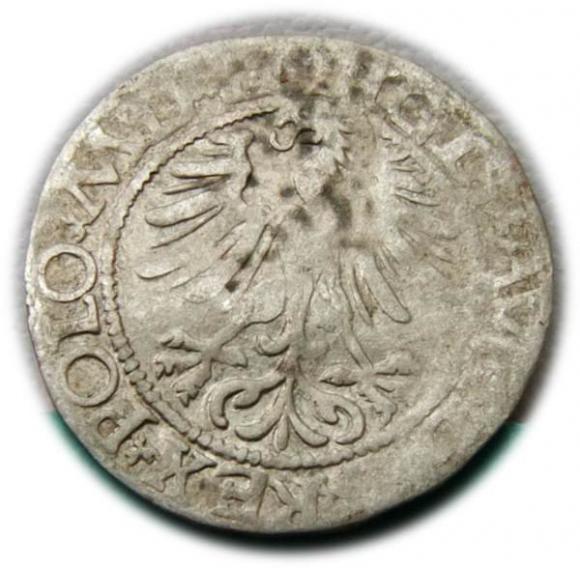 Półgrosz 1565 Zygmunt II August Wilno (2)