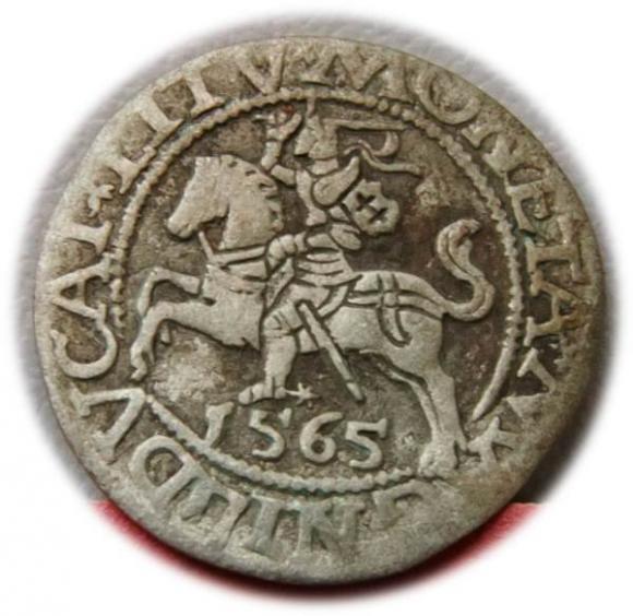 Półgrosz 1565 Zygmunt II August Wilno (1)
