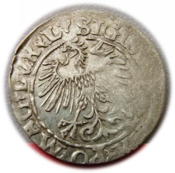 Half groschen Sigismund II Augustus Vilnius