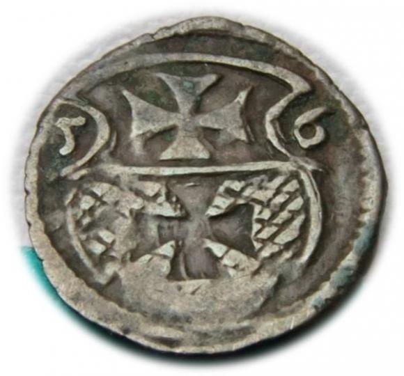 Denar 1556 Zygmunt II August Elbląg (1)