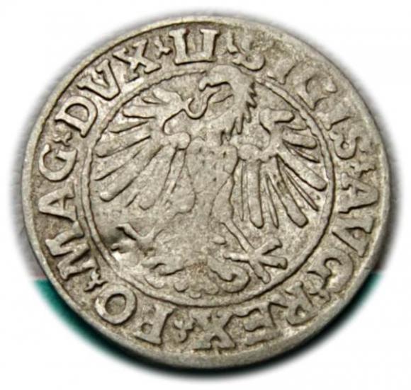 Półgrosz 1547 Zygmunt II August Wilno (2)