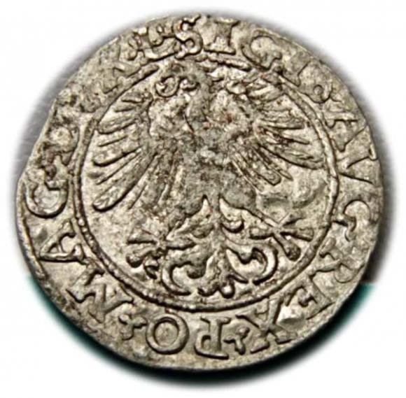 Półgrosz 1561 Zygmunt II August Wilno (2)