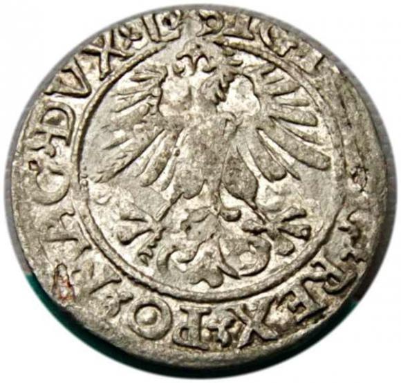 Półgrosz 1561 Zygmunt II August Wilno (2)