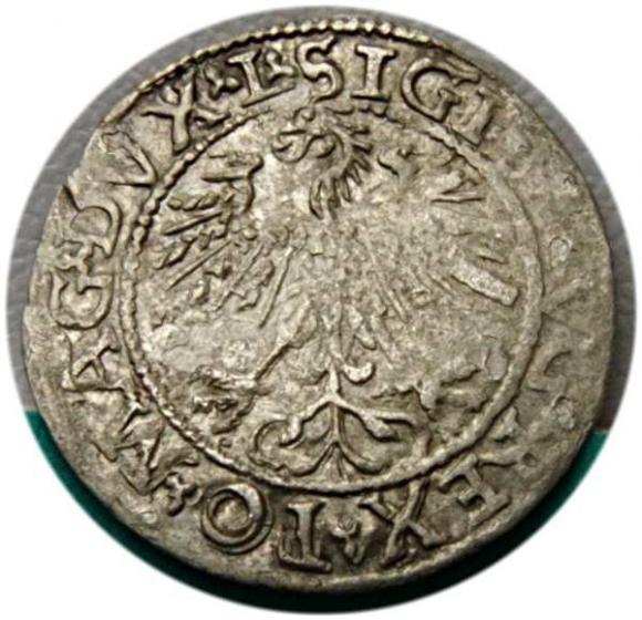 Półgrosz 1562 Zygmunt II August Wilno (2)