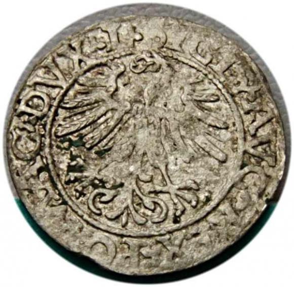 Półgrosz 1562 Zygmunt II August Wilno (2)