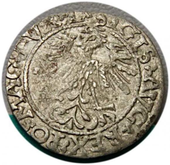 Half groschen 1562 Sigismund II Augustus Vilnius (2)