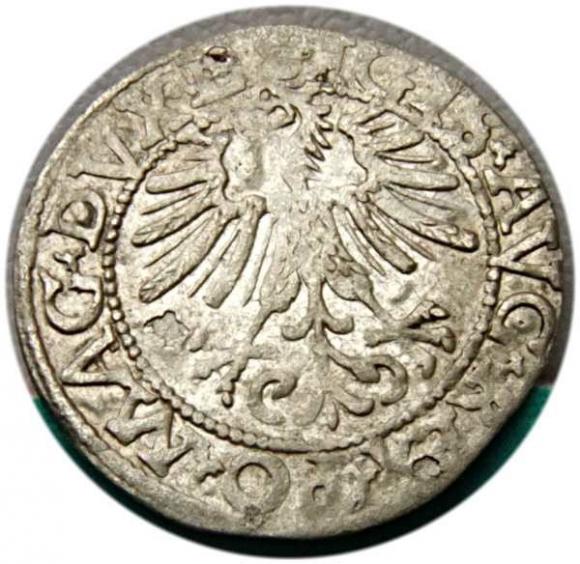 Półgrosz 1562 Zygmunt II August Wilno (2)