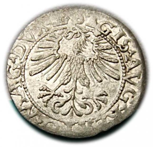 Półgrosz 1562 Zygmunt II August Wilno (2)