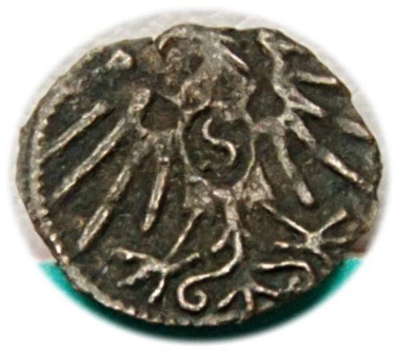 Denar Albrecht Hohenzollern Księstwo Pruskie Królewiec (2)