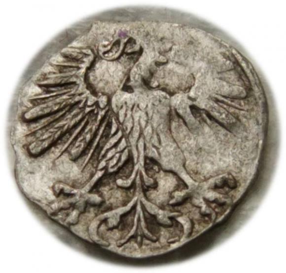 Denar 1563 Zygmunt II August Wilno (2)