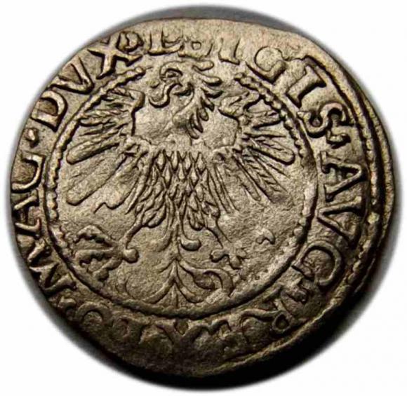 Półgrosz 1559 Zygmunt II August Wilno (2)