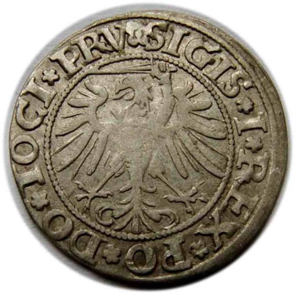 Grosz 1535 Zygmunt I Stary Elbląg  (2)