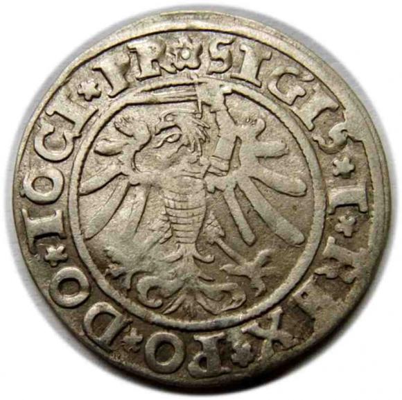 Groschen 1534 Sigismund I the Old Elbląg