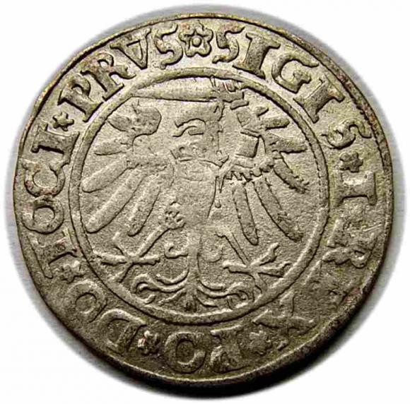 Groschen 1534 Sigismund I the Old Elbląg