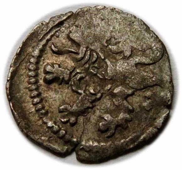 Halerz Władysław II Jagiellończyk Wrocław (2)